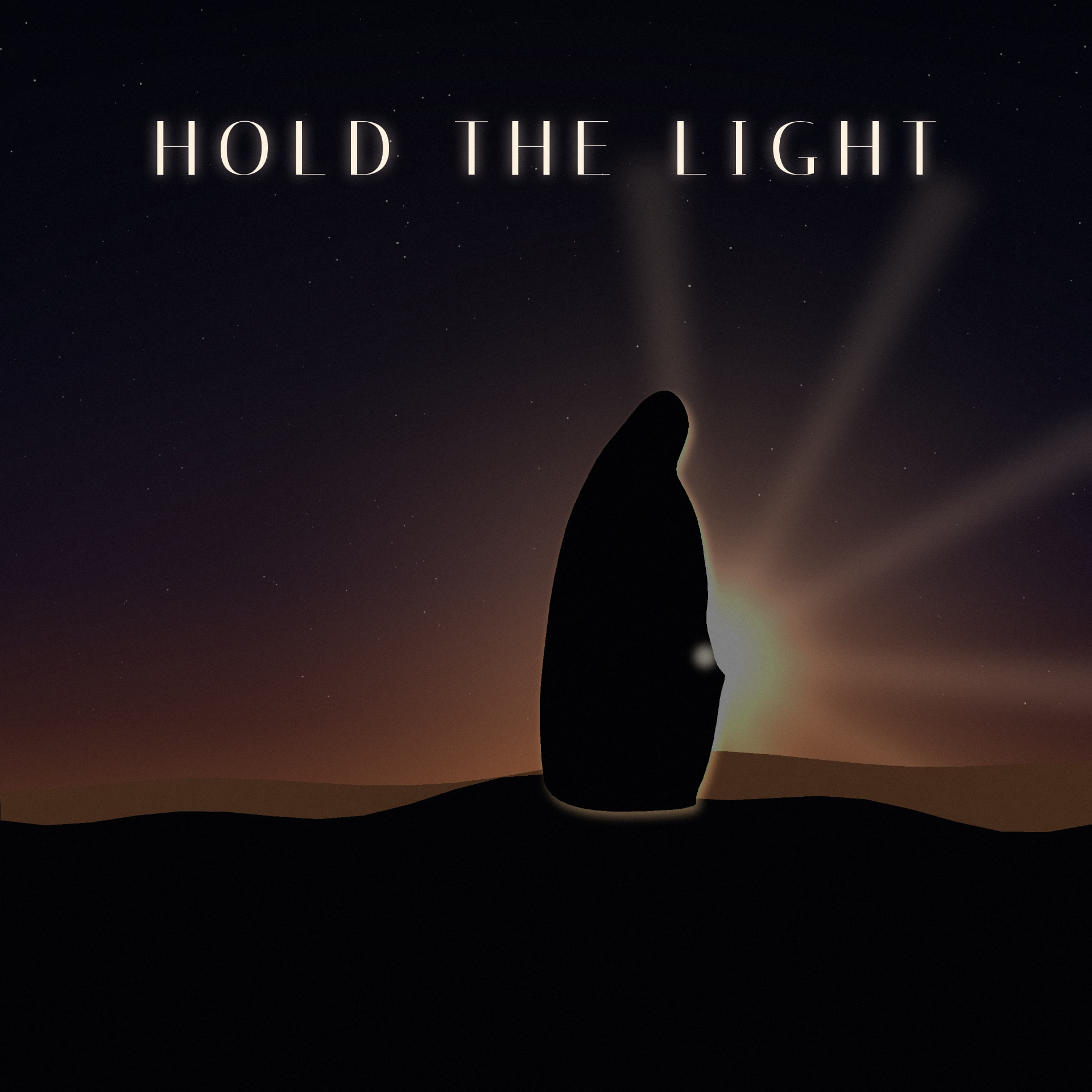 Hold The Light album cover